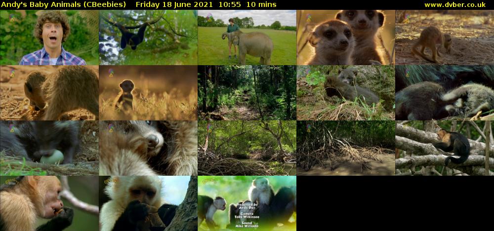 Andy's Baby Animals (CBeebies) Friday 18 June 2021 10:55 - 11:05