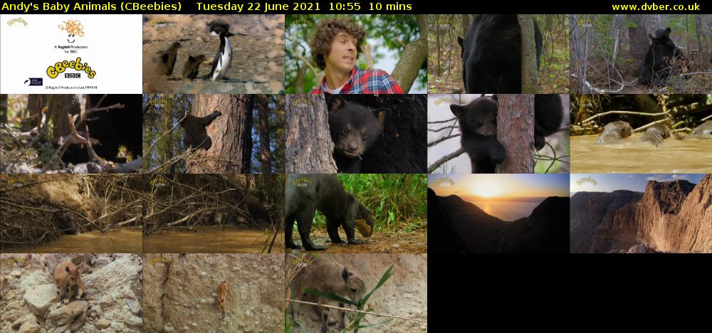 Andy's Baby Animals (CBeebies) Tuesday 22 June 2021 10:55 - 11:05