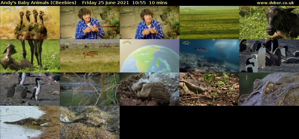 Andy's Baby Animals (CBeebies) Friday 25 June 2021 10:55 - 11:05