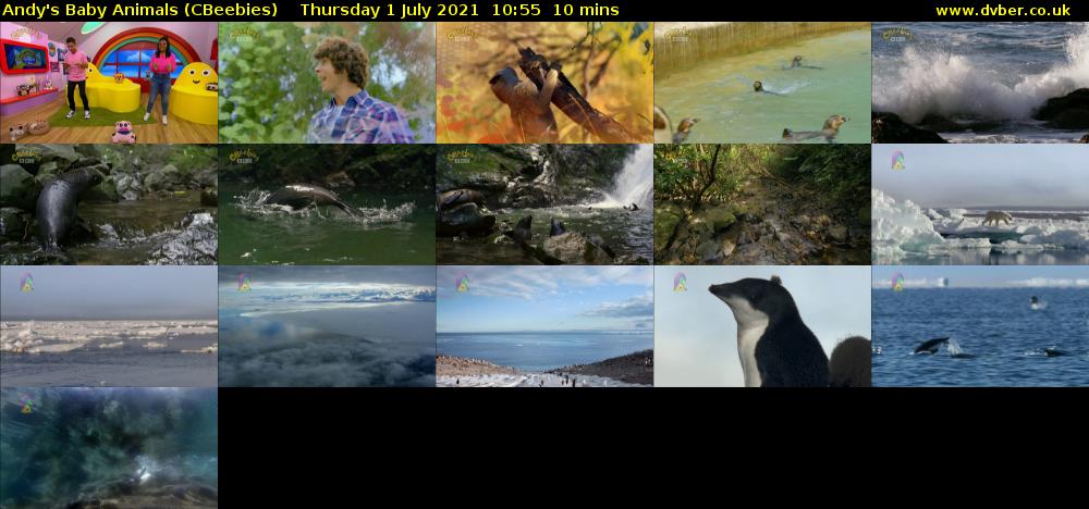 Andy's Baby Animals (CBeebies) Thursday 1 July 2021 10:55 - 11:05
