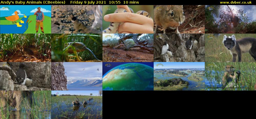 Andy's Baby Animals (CBeebies) Friday 9 July 2021 10:55 - 11:05