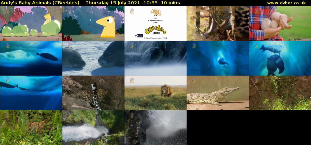Andy's Baby Animals (CBeebies) Thursday 15 July 2021 10:55 - 11:05