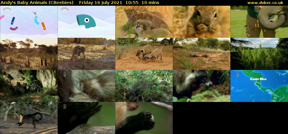Andy's Baby Animals (CBeebies) Friday 16 July 2021 10:55 - 11:05