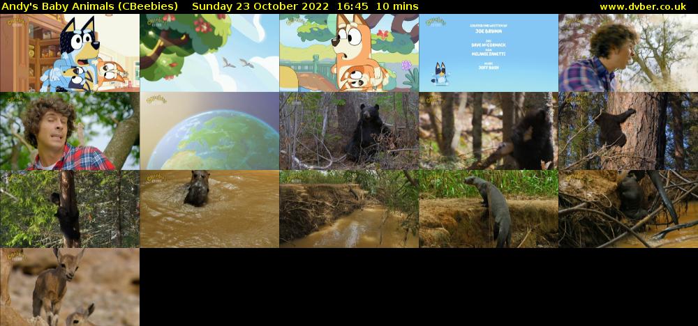 Andy's Baby Animals (CBeebies) Sunday 23 October 2022 16:45 - 16:55