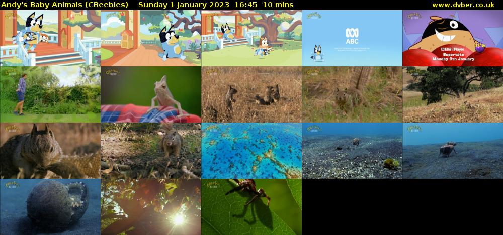 Andy's Baby Animals (CBeebies) Sunday 1 January 2023 16:45 - 16:55