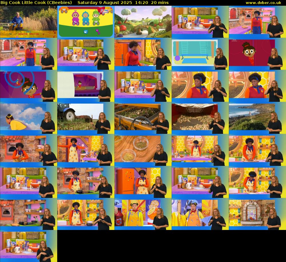 Big Cook Little Cook (CBeebies) Saturday 9 August 2025 14:20 - 14:40