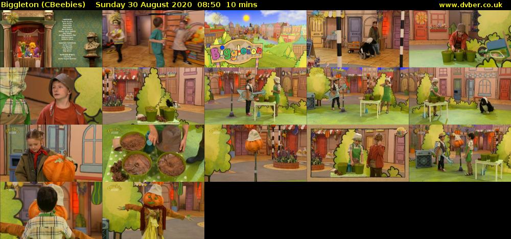 Biggleton (CBeebies) Sunday 30 August 2020 08:50 - 09:00