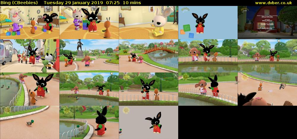 Bing (CBeebies) Tuesday 29 January 2019 07:25 - 07:35