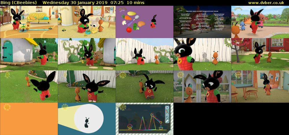 Bing (CBeebies) Wednesday 30 January 2019 07:25 - 07:35