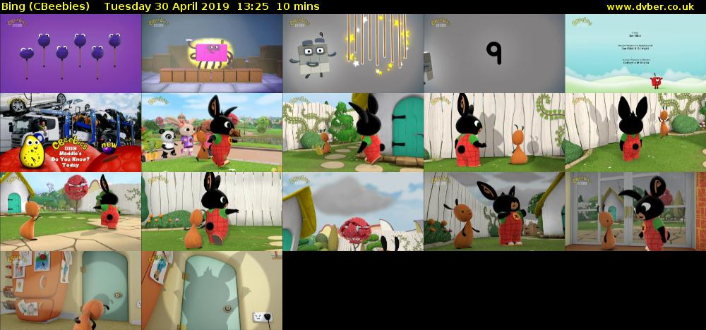 Bing (CBeebies) Tuesday 30 April 2019 13:25 - 13:35