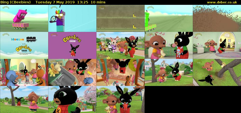 Bing (CBeebies) Tuesday 7 May 2019 13:25 - 13:35