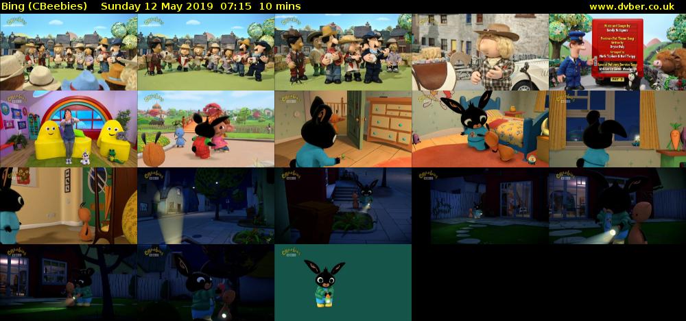 Bing (CBeebies) Sunday 12 May 2019 07:15 - 07:25