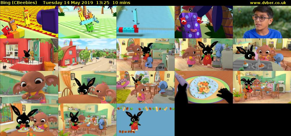 Bing (CBeebies) Tuesday 14 May 2019 13:25 - 13:35