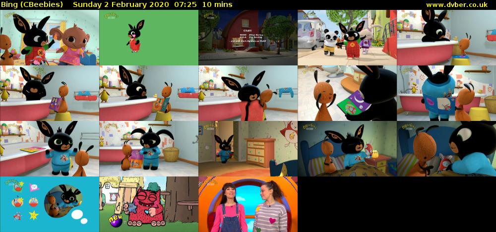 Bing (CBeebies) Sunday 2 February 2020 07:25 - 07:35