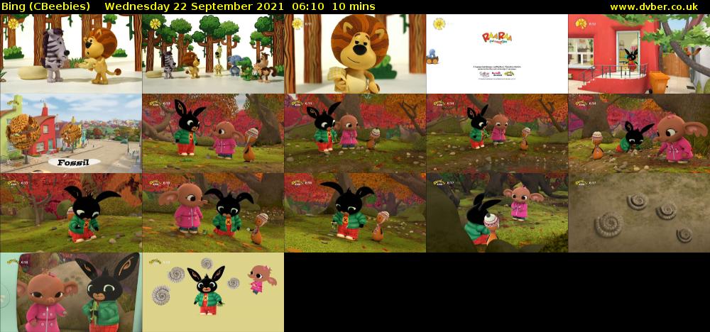 Bing (CBeebies) Wednesday 22 September 2021 06:10 - 06:20