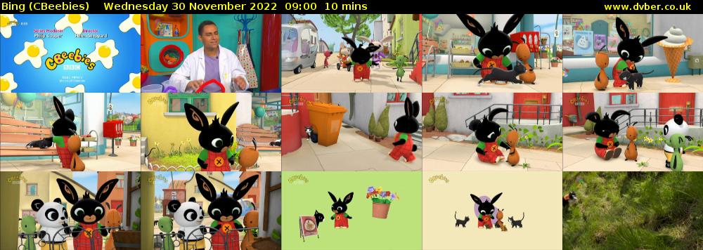Bing (CBeebies) Wednesday 30 November 2022 09:00 - 09:10
