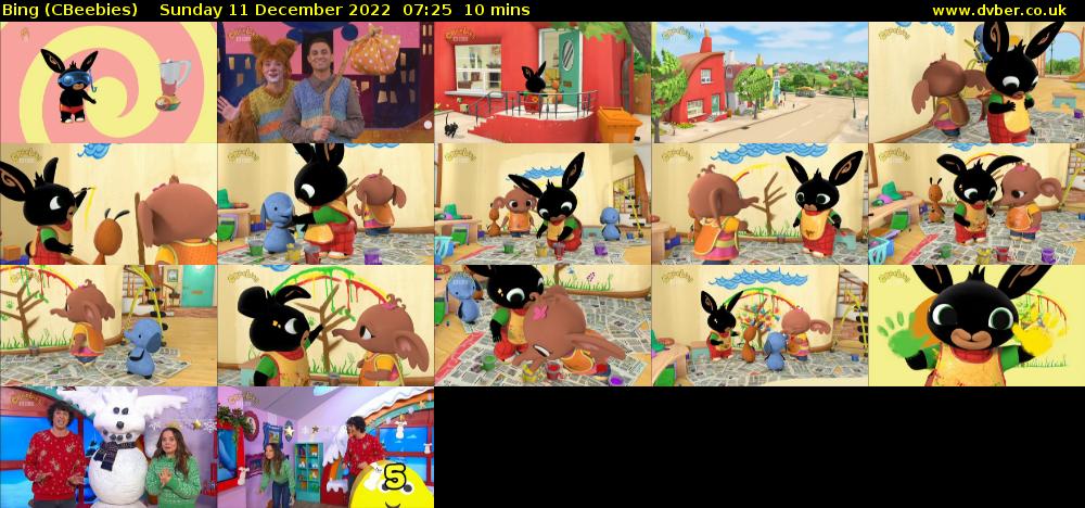 Bing (CBeebies) Sunday 11 December 2022 07:25 - 07:35