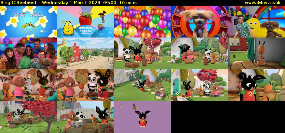 Bing (CBeebies) Wednesday 1 March 2023 09:00 - 09:10