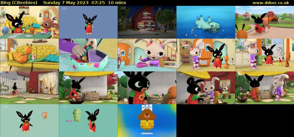 Bing (CBeebies) Sunday 7 May 2023 07:25 - 07:35