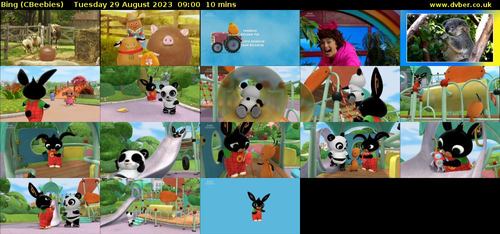 Bing (CBeebies) Tuesday 29 August 2023 09:00 - 09:10