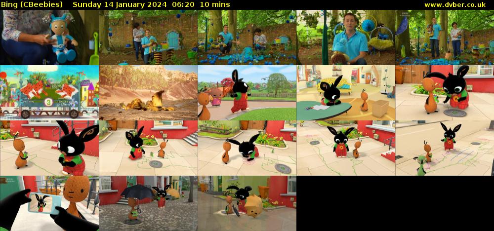 Bing (CBeebies) Sunday 14 January 2024 06:20 - 06:30