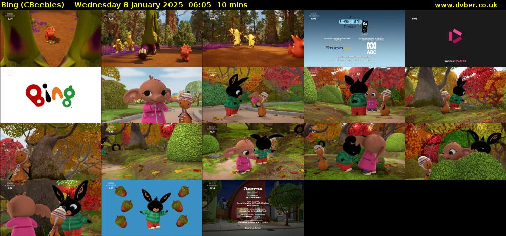 Bing (CBeebies) Wednesday 8 January 2025 06:05 - 06:15