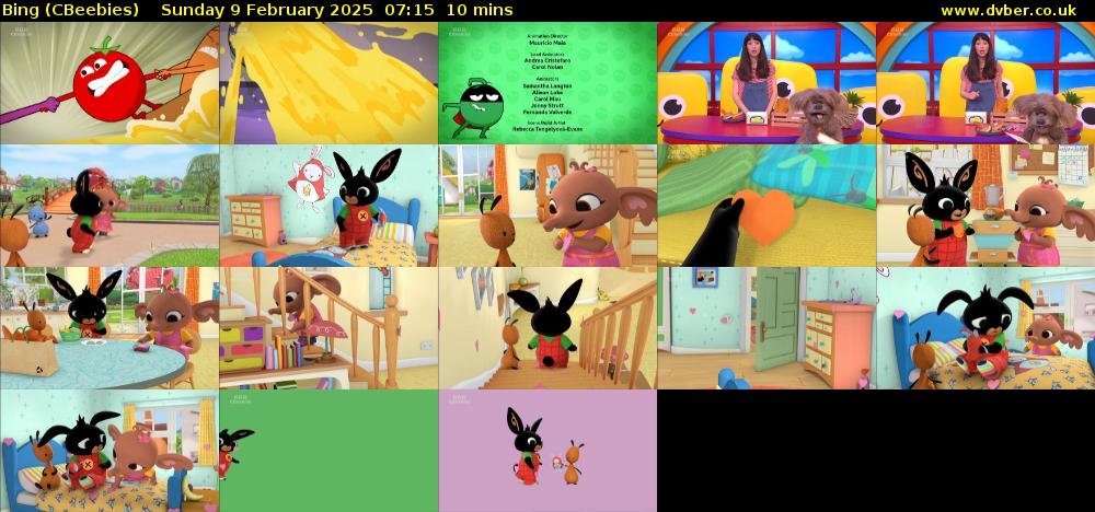 Bing (CBeebies) Sunday 9 February 2025 07:15 - 07:25
