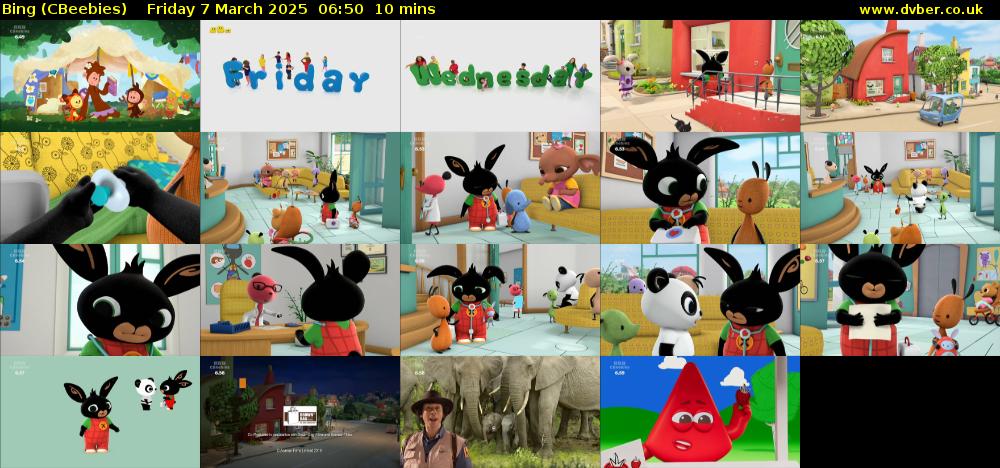 Bing (CBeebies) Friday 7 March 2025 06:50 - 07:00