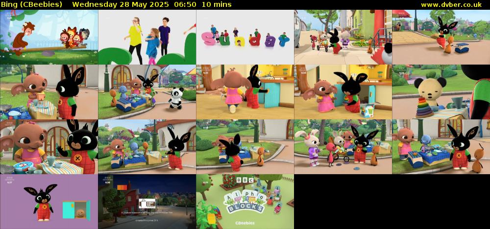 Bing (CBeebies) Wednesday 28 May 2025 06:50 - 07:00