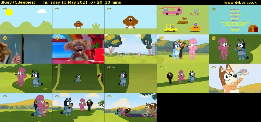 Bluey (CBeebies) Thursday 13 May 2021 07:20 - 07:30