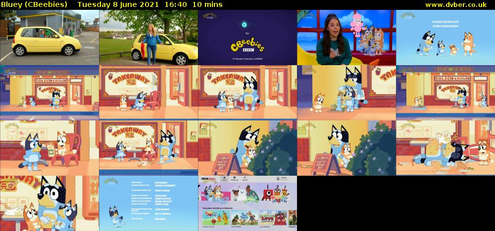 Bluey (CBeebies) Tuesday 8 June 2021 16:40 - 16:50