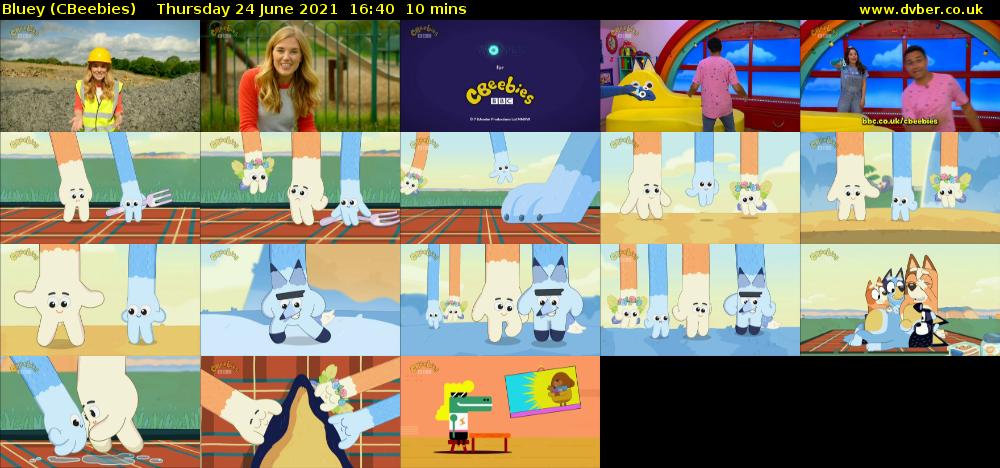Bluey (CBeebies) Thursday 24 June 2021 16:40 - 16:50