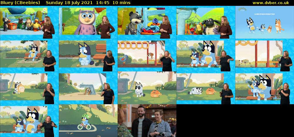 Bluey (CBeebies) Sunday 18 July 2021 14:45 - 14:55