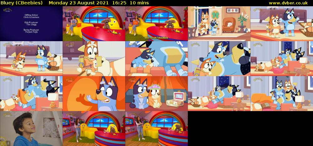 Bluey (CBeebies) Monday 23 August 2021 16:25 - 16:35