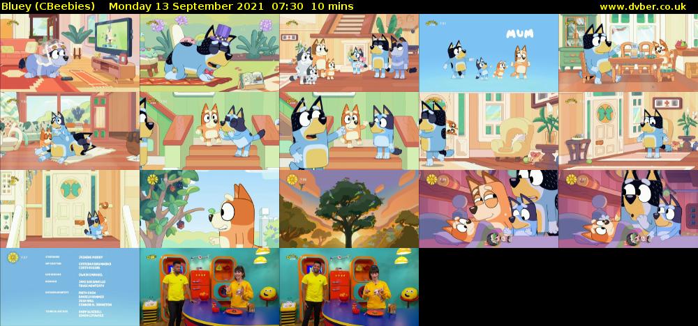 Bluey (CBeebies) Monday 13 September 2021 07:30 - 07:40