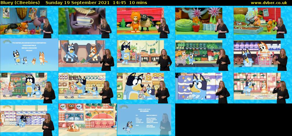 Bluey (CBeebies) Sunday 19 September 2021 14:45 - 14:55