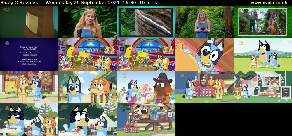 Bluey (CBeebies) Wednesday 29 September 2021 16:30 - 16:40