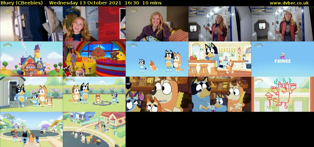 Bluey (CBeebies) Wednesday 13 October 2021 16:30 - 16:40