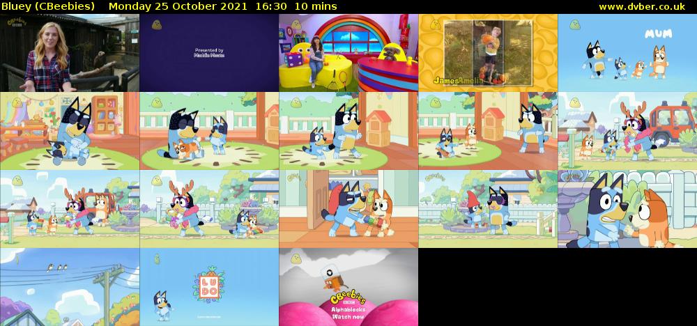 Bluey (CBeebies) Monday 25 October 2021 16:30 - 16:40