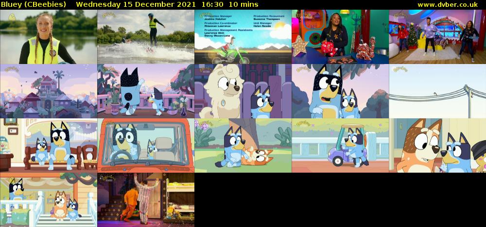 Bluey (CBeebies) Wednesday 15 December 2021 16:30 - 16:40