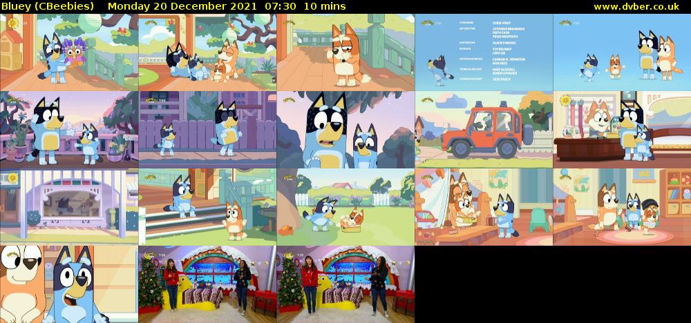 Bluey (CBeebies) Monday 20 December 2021 07:30 - 07:40