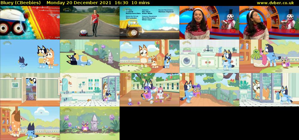 Bluey CBeebies 2021 12 20 1630 bluey-cbeebies-2021-12-20-1630