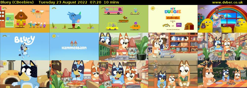 Bluey (CBeebies) Tuesday 23 August 2022 07:20 - 07:30