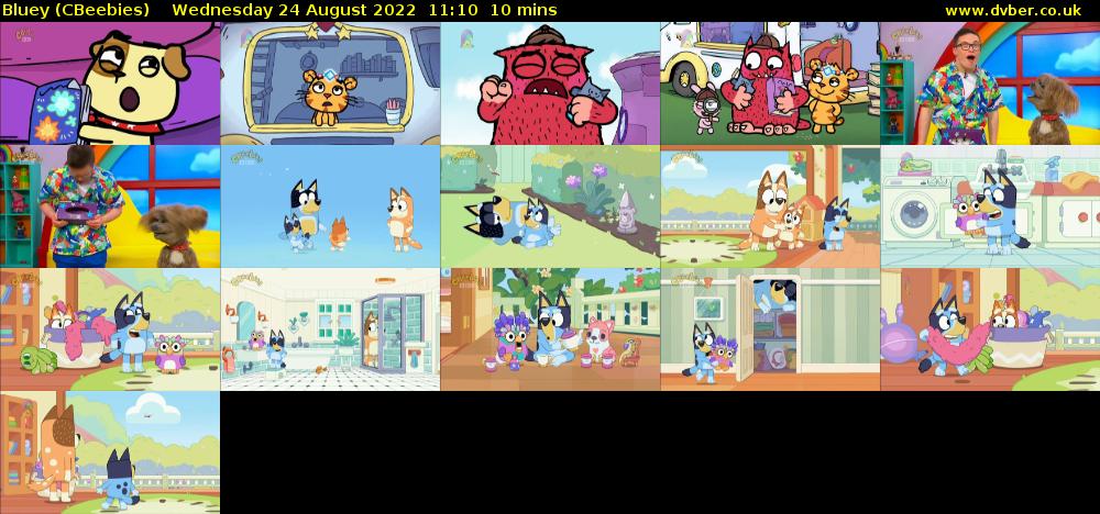 Bluey CBeebies 2022 08 24 1110 bluey-cbeebies-2022-08-24-1110