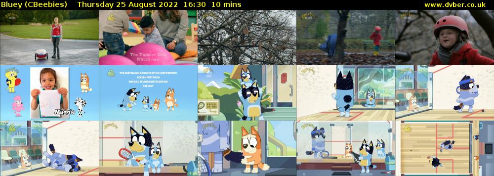 Bluey (CBeebies) Thursday 25 August 2022 16:30 - 16:40