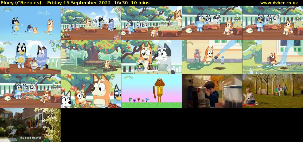 Bluey (CBeebies) Friday 16 September 2022 16:30 - 16:40