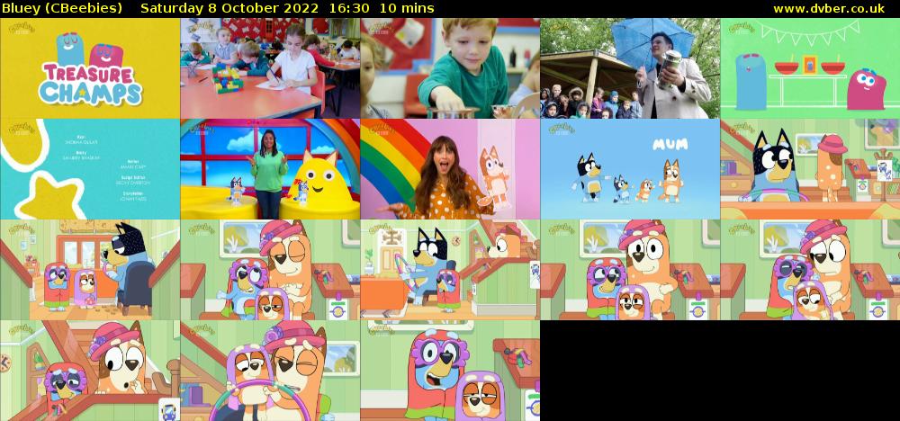 Bluey (CBeebies) Saturday 8 October 2022 16:30 - 16:40