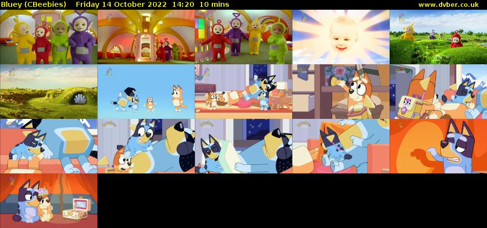 Bluey (CBeebies) Friday 14 October 2022 14:20 - 14:30