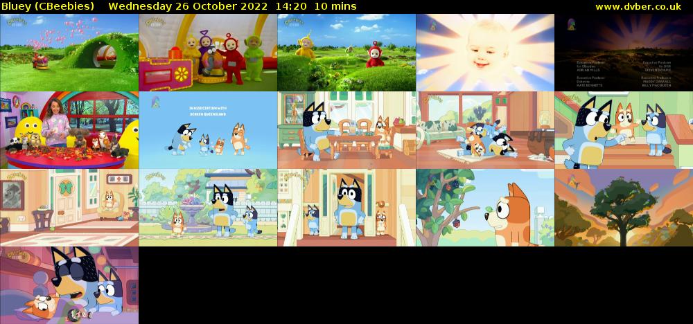 Bluey (CBeebies) Wednesday 26 October 2022 14:20 - 14:30