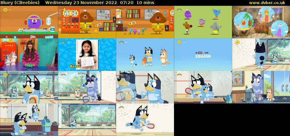 Bluey (CBeebies) Wednesday 23 November 2022 07:20 - 07:30